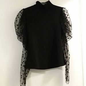 Gorgeous black sheer sleeved blouse